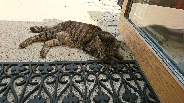 f:id:zappa38:20190526185411j:image
