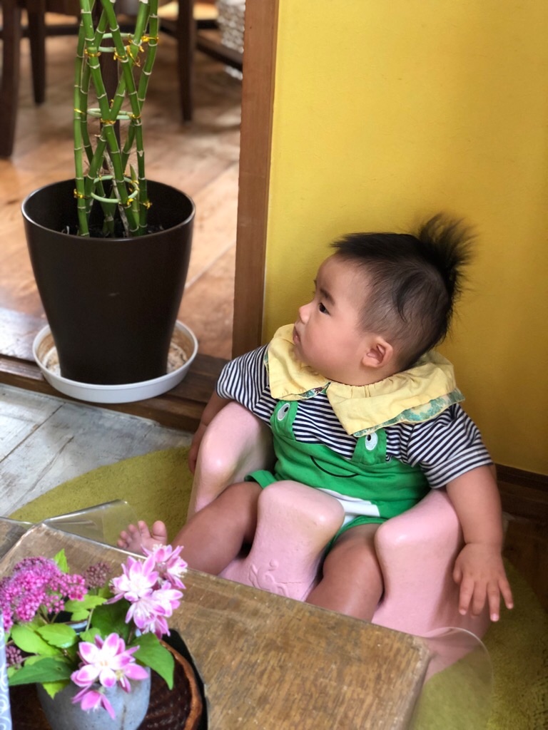 f:id:zappa38:20190526205951j:image
