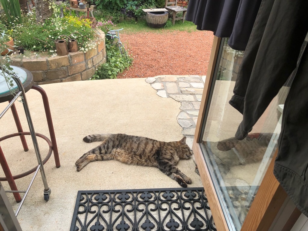 f:id:zappa38:20190526210113j:image