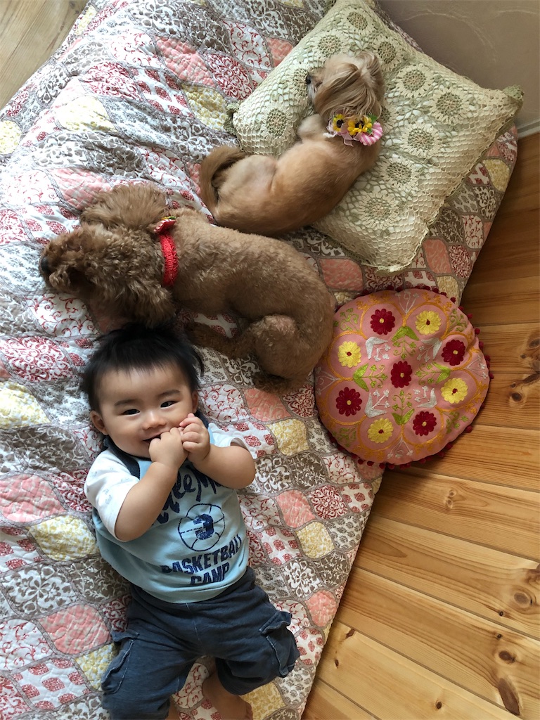 f:id:zappa38:20190727210557j:image