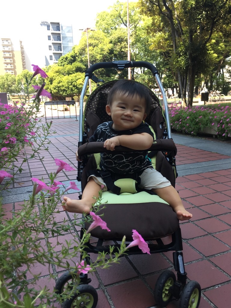 f:id:zappa38:20190826204049j:image