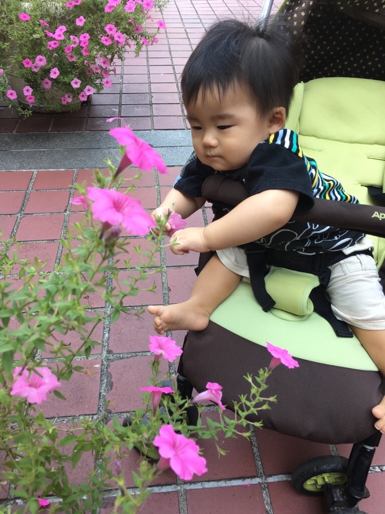 f:id:zappa38:20190826204105j:image