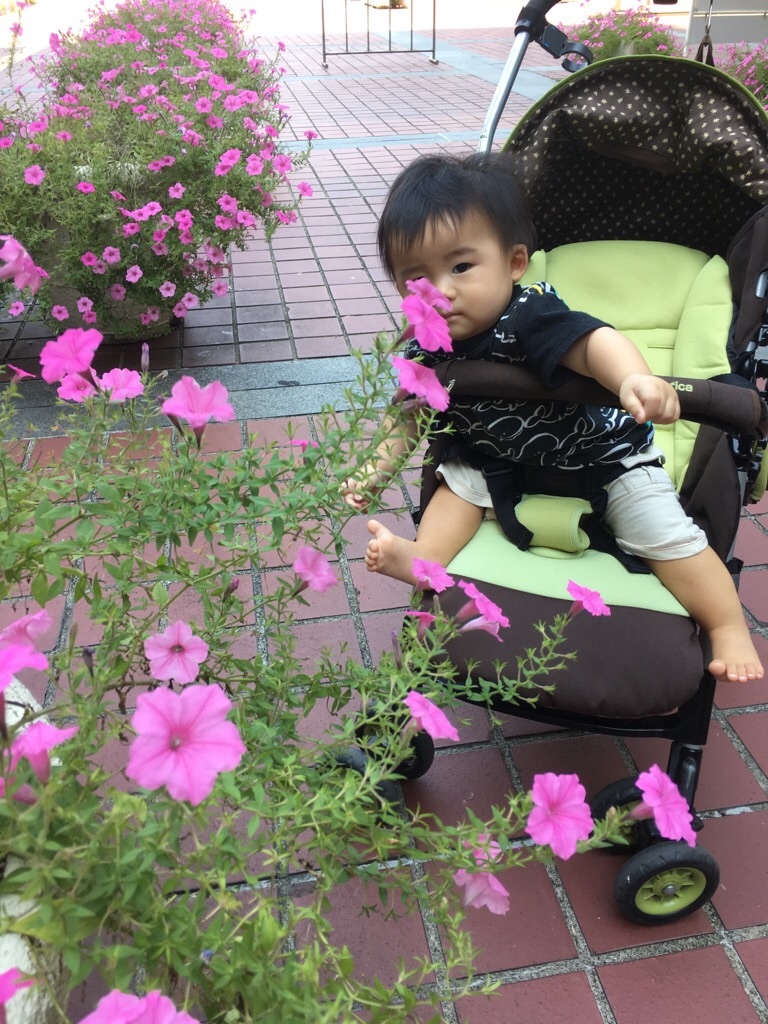 f:id:zappa38:20190826204113j:image