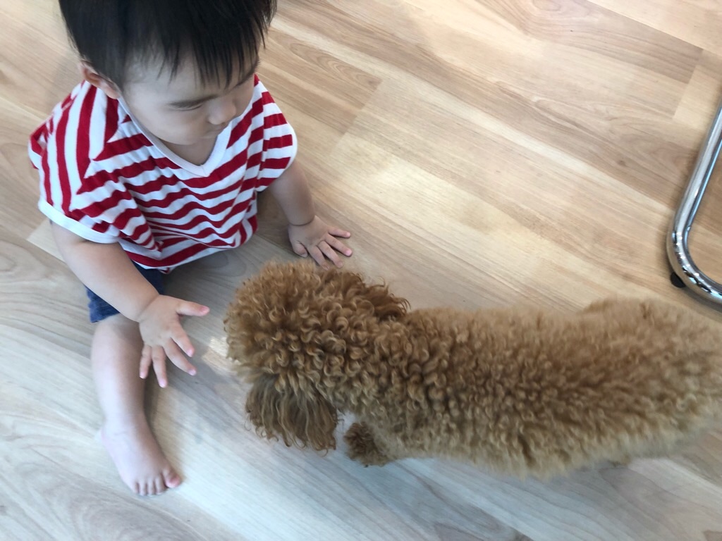 f:id:zappa38:20190828224817j:image f:id:zappa38:20190828224817j:image