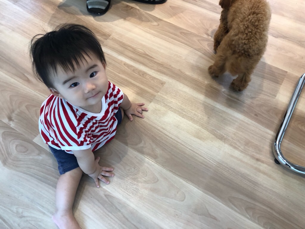 f:id:zappa38:20190828225027j:image f:id:zappa38:20190828225027j:image