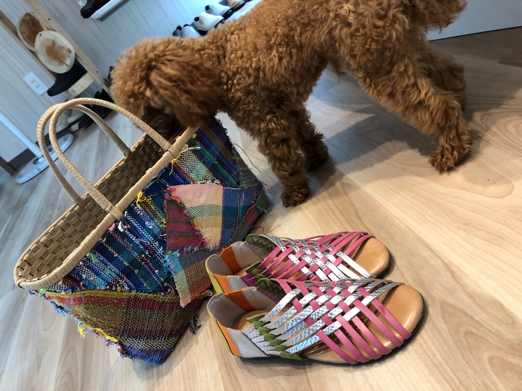 f:id:zappa38:20190828225124j:image f:id:zappa38:20190828225124j:image