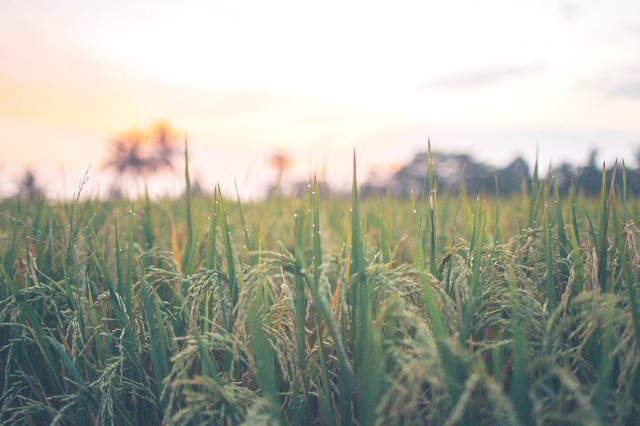 f:id:zappa38:20190828233057j:image f:id:zappa38:20190828233057j:image