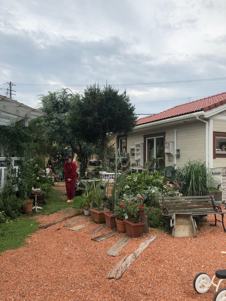 f:id:zappa38:20190831193720j:image f:id:zappa38:20190831193720j:image