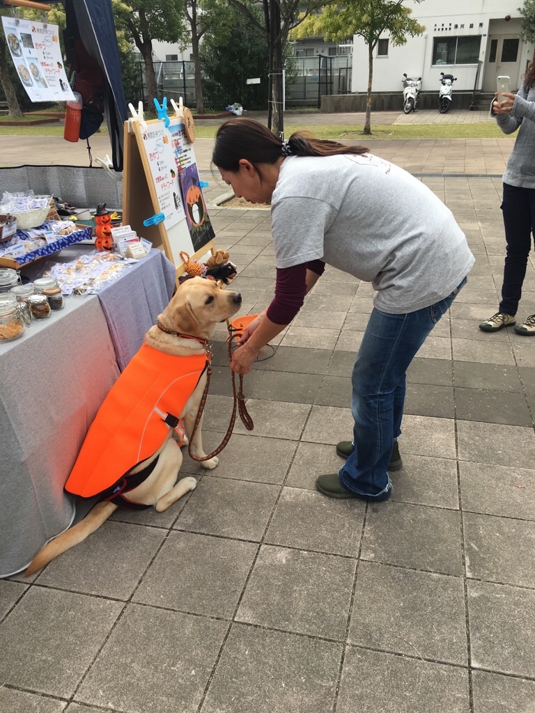 f:id:zappa38:20191026205835j:image