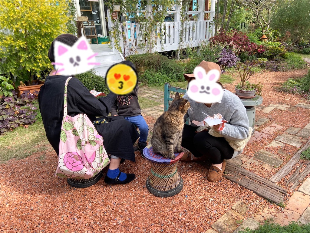 f:id:zappa38:20191108212157j:image f:id:zappa38:20191108212157j:image