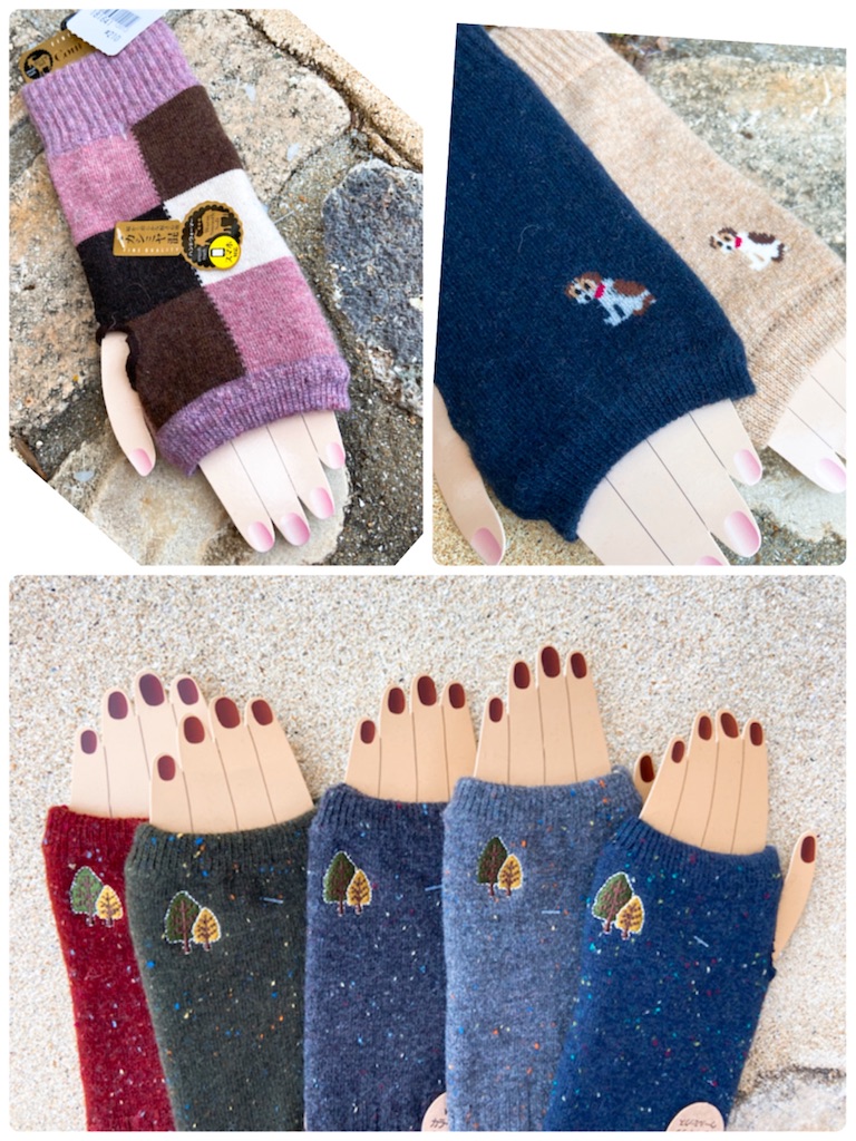 f:id:zappa38:20191108213335j:image f:id:zappa38:20191108213335j:image