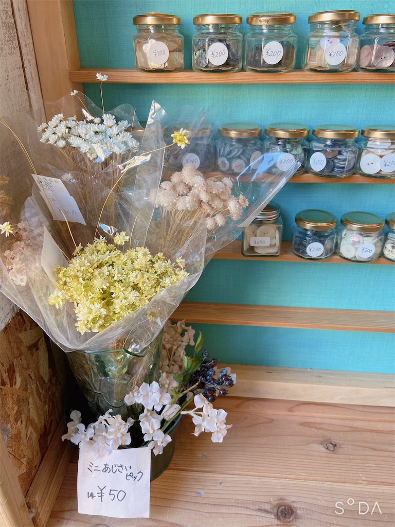 f:id:zappa38:20191109205227j:image f:id:zappa38:20191109205227j:image