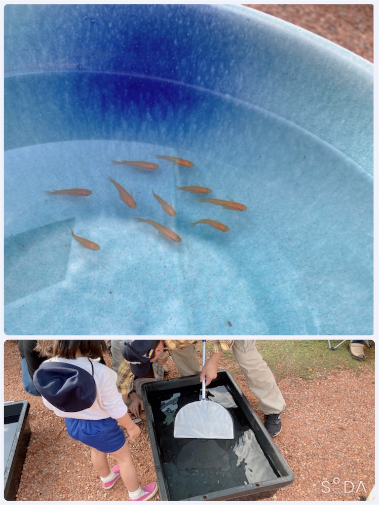 f:id:zappa38:20191109205301j:image f:id:zappa38:20191109205301j:image