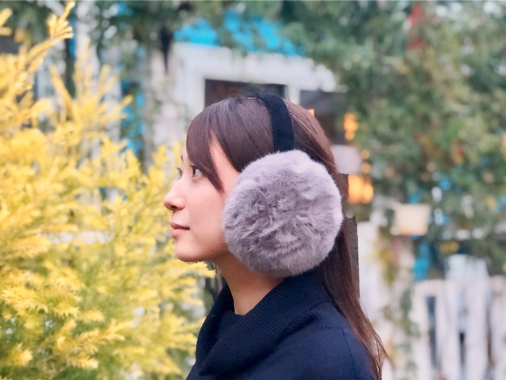 f:id:zappa38:20191111074627j:image f:id:zappa38:20191111074627j:image