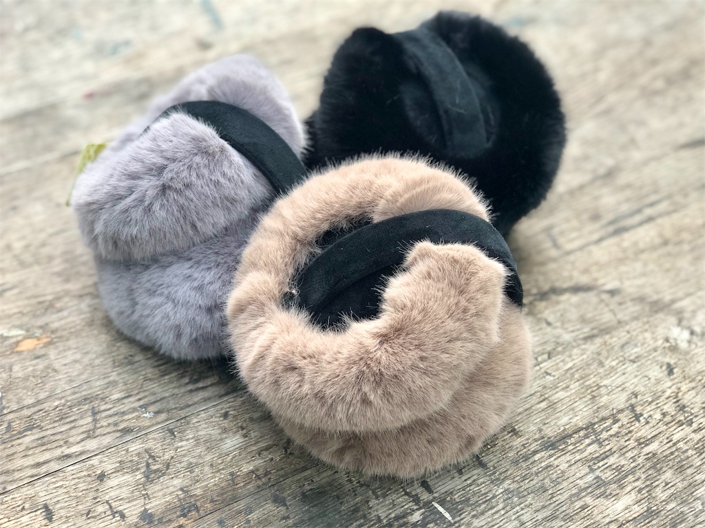 f:id:zappa38:20191111130642j:image f:id:zappa38:20191111130642j:image