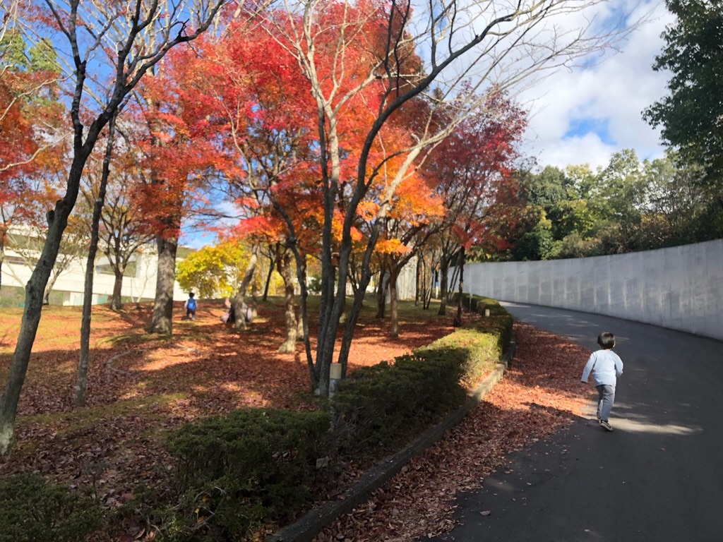 f:id:zappa38:20191121212036j:image