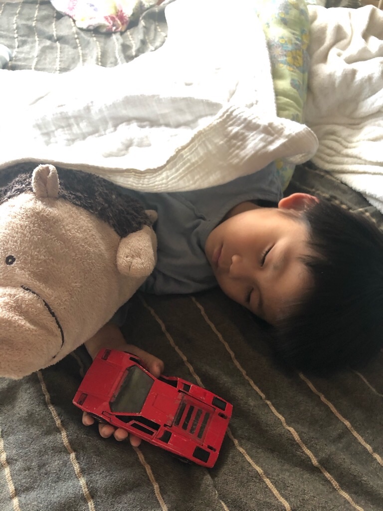 f:id:zappa38:20191121212052j:image