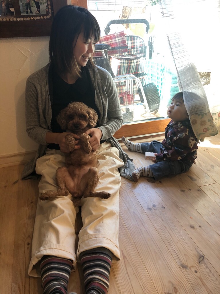 f:id:zappa38:20191121212058j:image