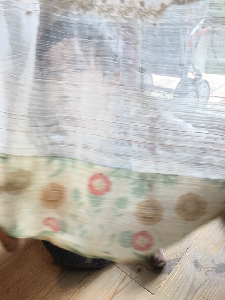 f:id:zappa38:20191202200958j:image f:id:zappa38:20191202200958j:image