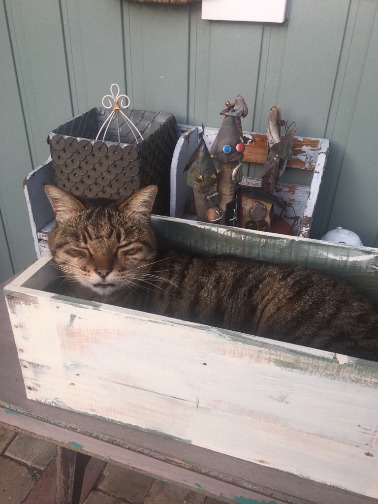 f:id:zappa38:20191225204327j:image