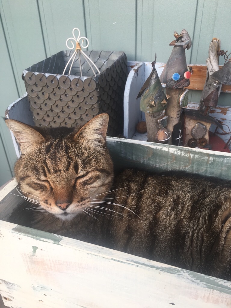 f:id:zappa38:20191225204340j:image