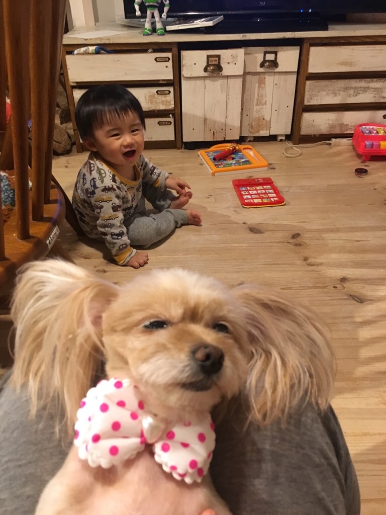 f:id:zappa38:20200120201936j:image f:id:zappa38:20200120201936j:image