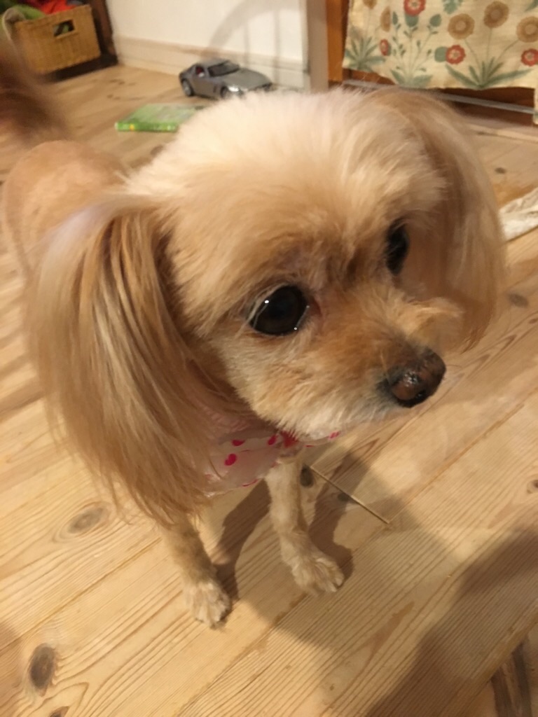 f:id:zappa38:20200120201943j:image f:id:zappa38:20200120201943j:image