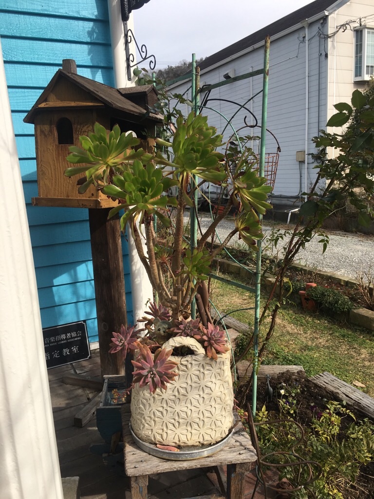 f:id:zappa38:20200120201946j:image f:id:zappa38:20200120201946j:image