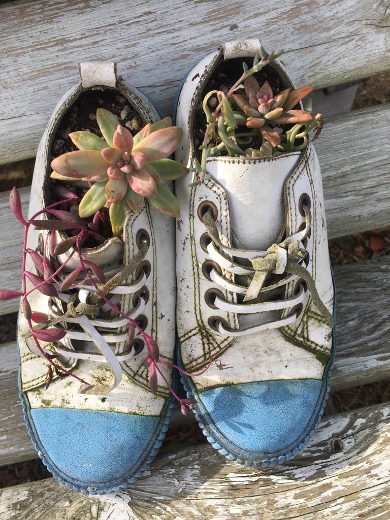 f:id:zappa38:20200120202011j:image f:id:zappa38:20200120202011j:image