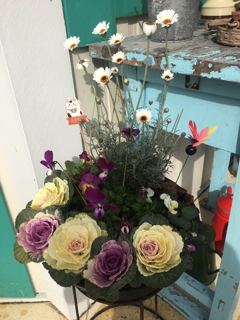 f:id:zappa38:20200120202443j:image f:id:zappa38:20200120202443j:image