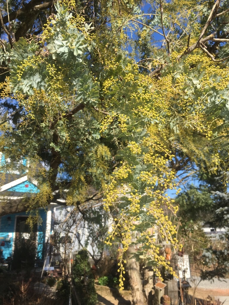 f:id:zappa38:20200121203847j:image f:id:zappa38:20200121203847j:image