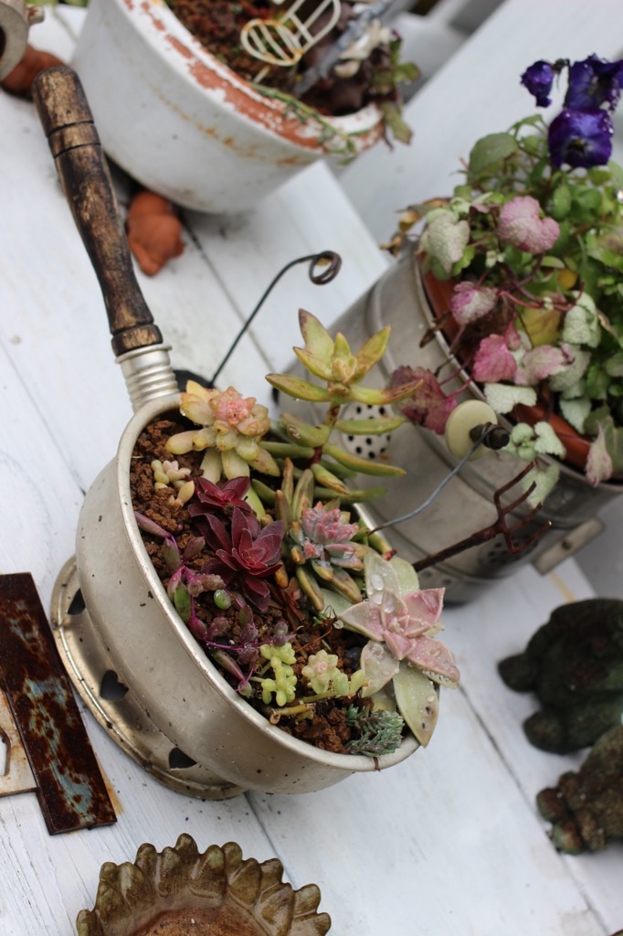 f:id:zappa38:20200124123104j:image f:id:zappa38:20200124123104j:image