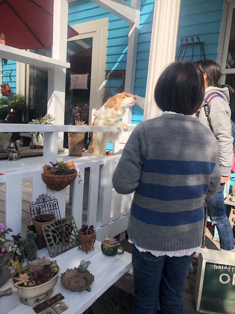 f:id:zappa38:20200125210443j:image f:id:zappa38:20200125210443j:image