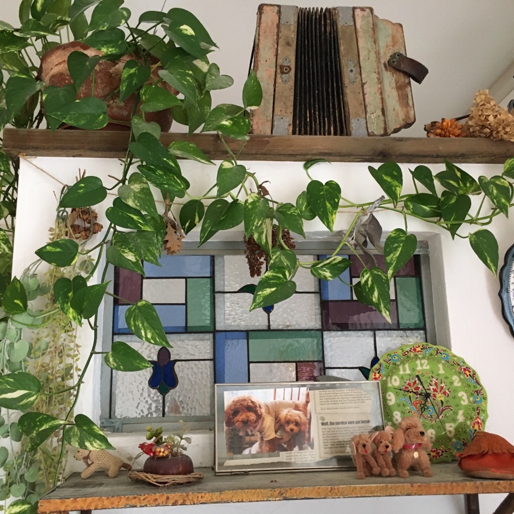 f:id:zappa38:20200329164104j:image