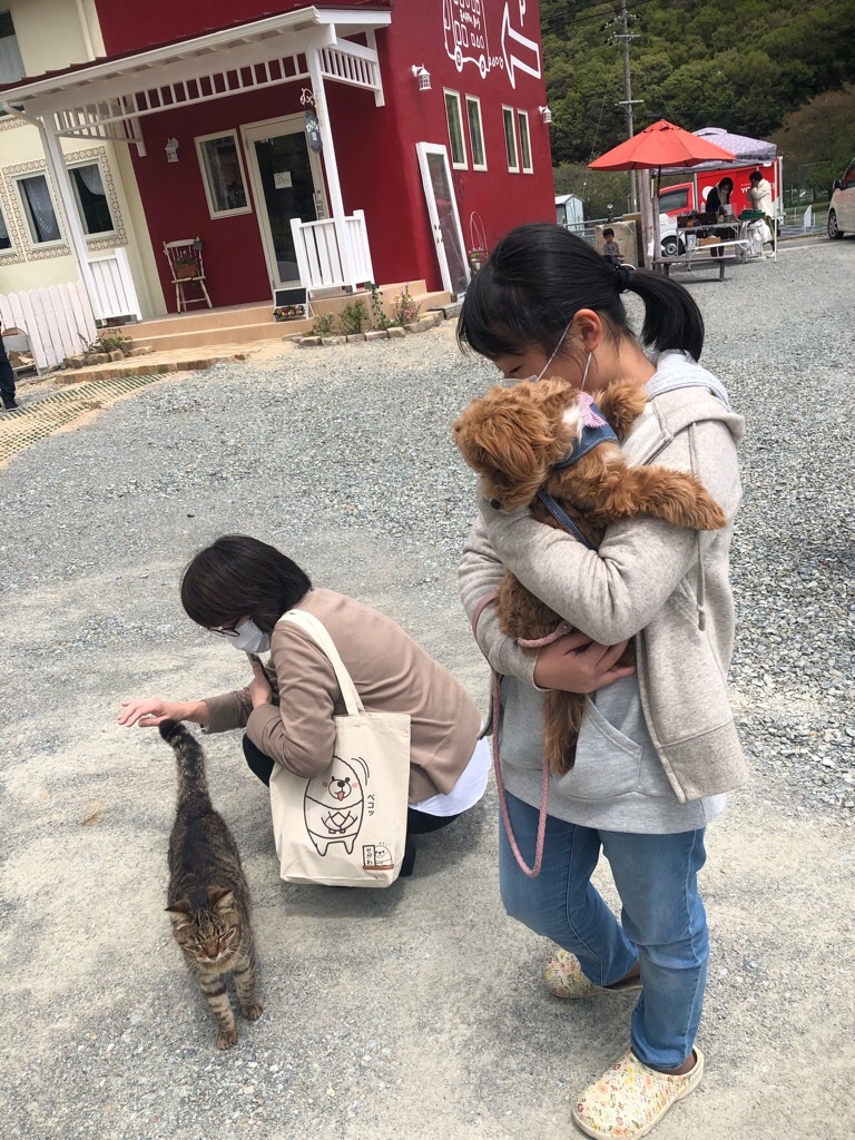 f:id:zappa38:20200423195106j:image