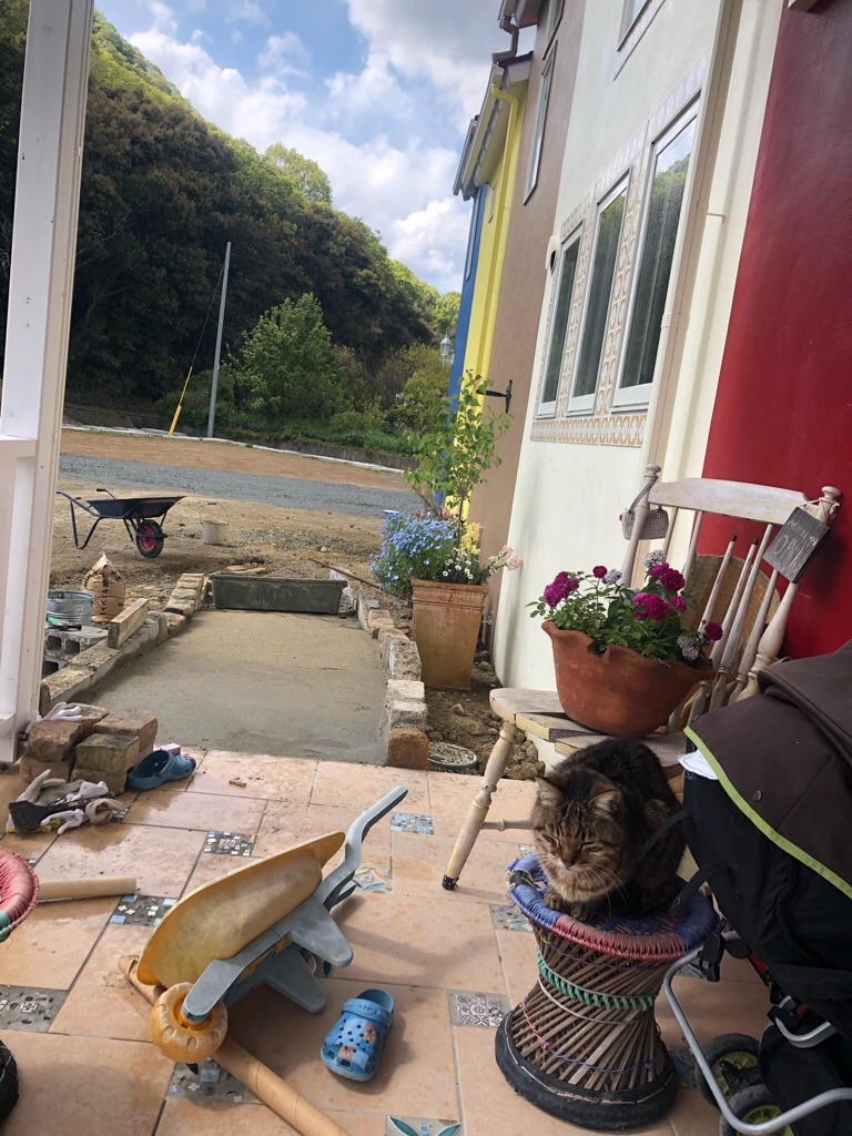 f:id:zappa38:20200425021821j:image f:id:zappa38:20200425021821j:image