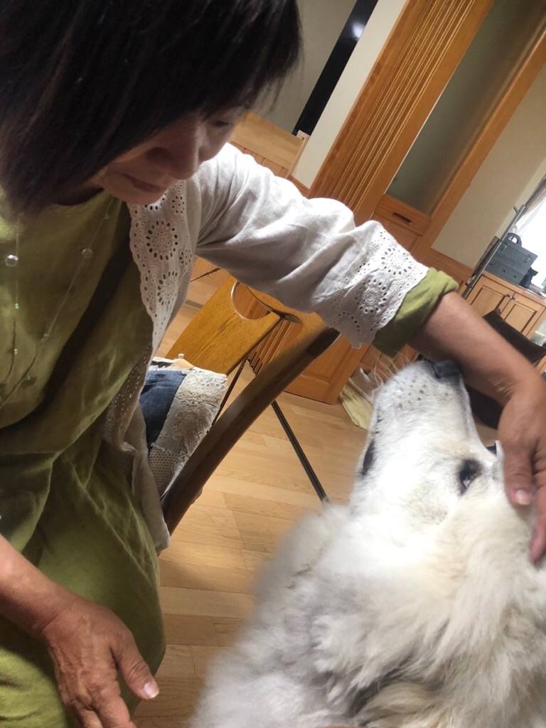 f:id:zappa38:20200526201926j:image f:id:zappa38:20200526201926j:image