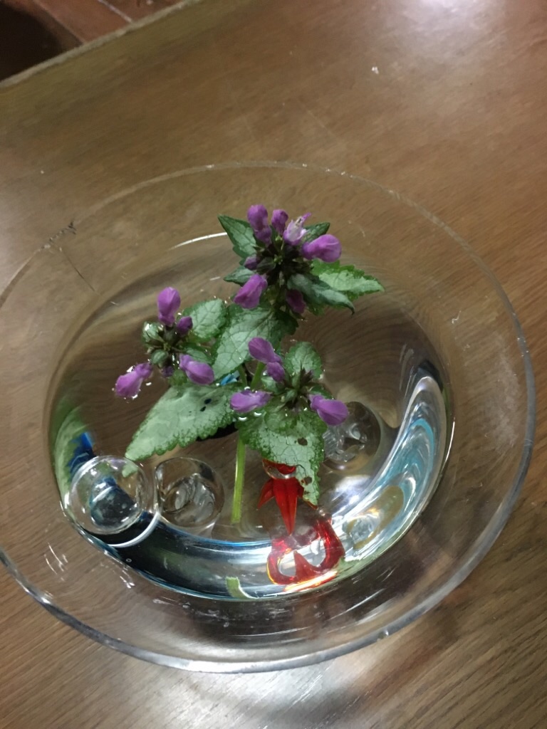 f:id:zappa38:20200603223219j:image f:id:zappa38:20200603223219j:image