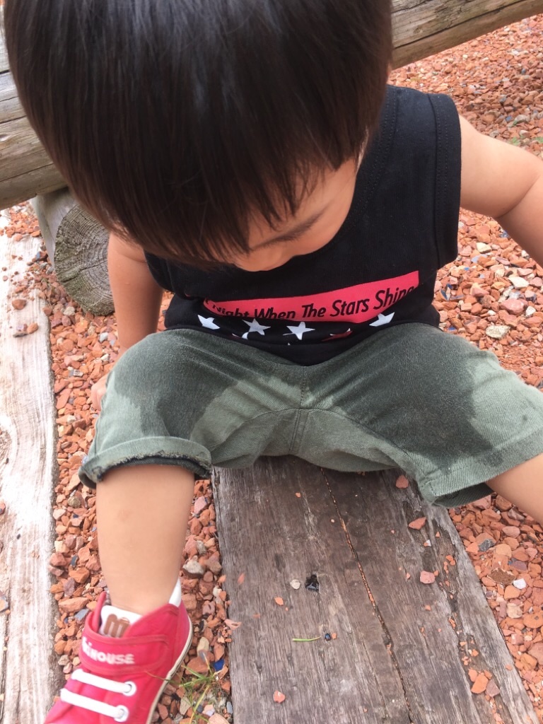 f:id:zappa38:20200810220434j:image f:id:zappa38:20200810220434j:image