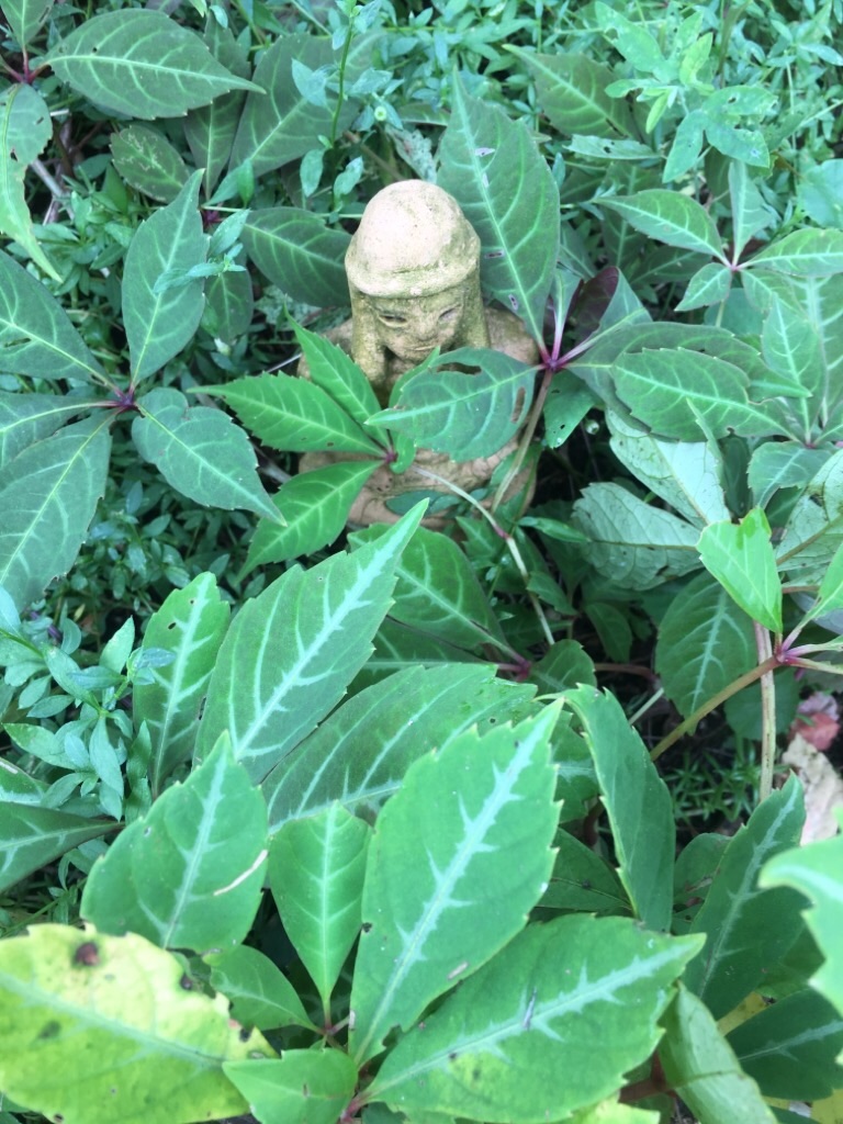 f:id:zappa38:20200810220511j:image f:id:zappa38:20200810220511j:image