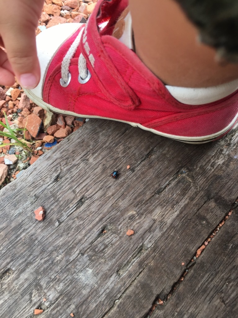 f:id:zappa38:20200810220559j:image f:id:zappa38:20200810220559j:image