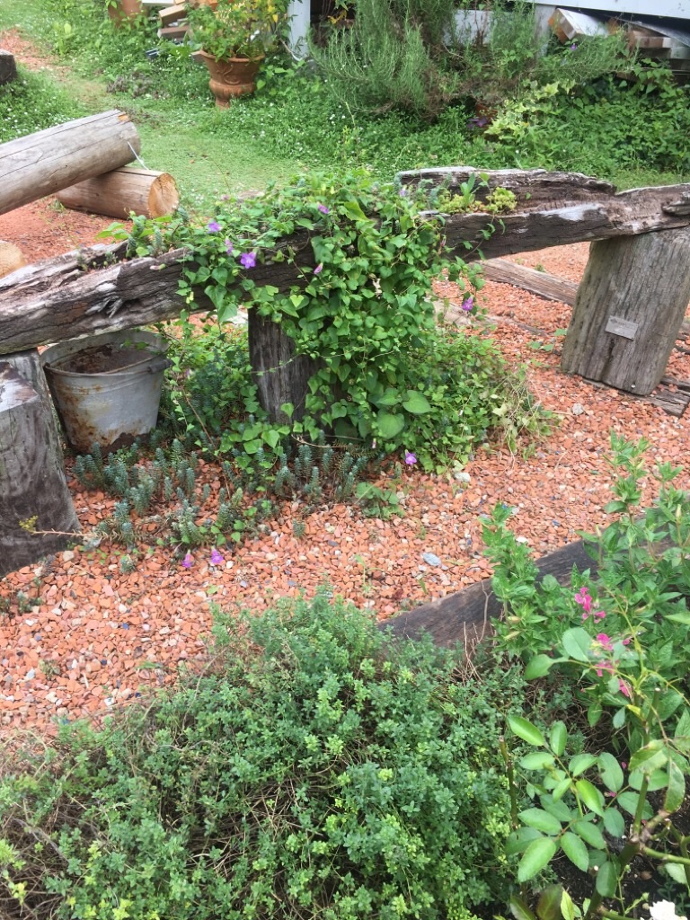 f:id:zappa38:20200810220603j:image f:id:zappa38:20200810220603j:image