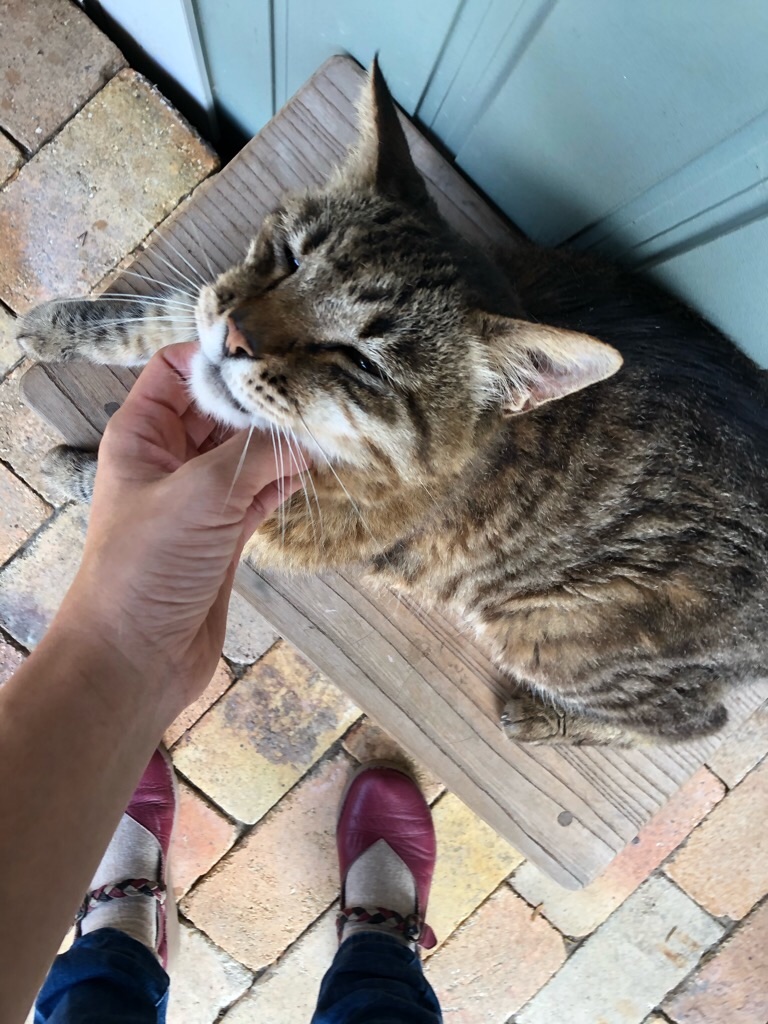 f:id:zappa38:20200825220529j:image f:id:zappa38:20200825220529j:image