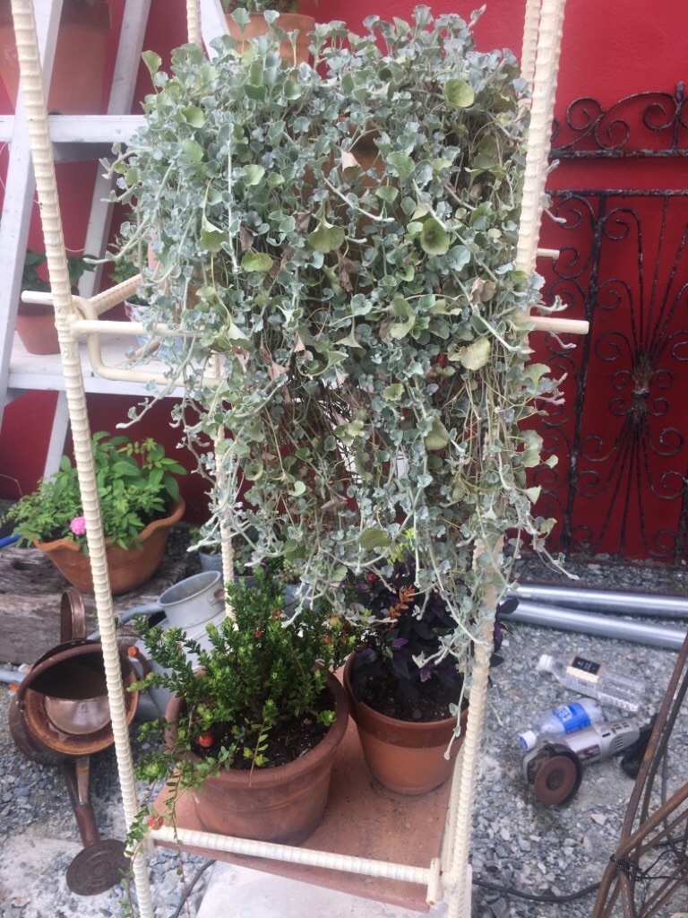 f:id:zappa38:20200904192743j:image