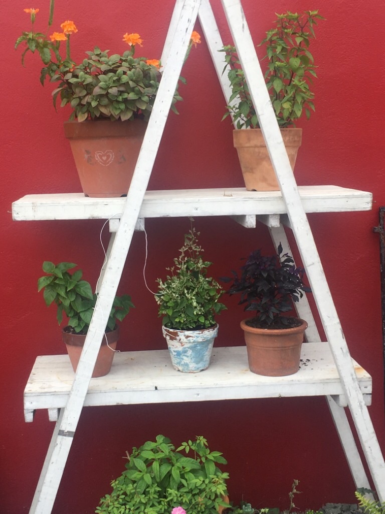 f:id:zappa38:20200904192806j:image