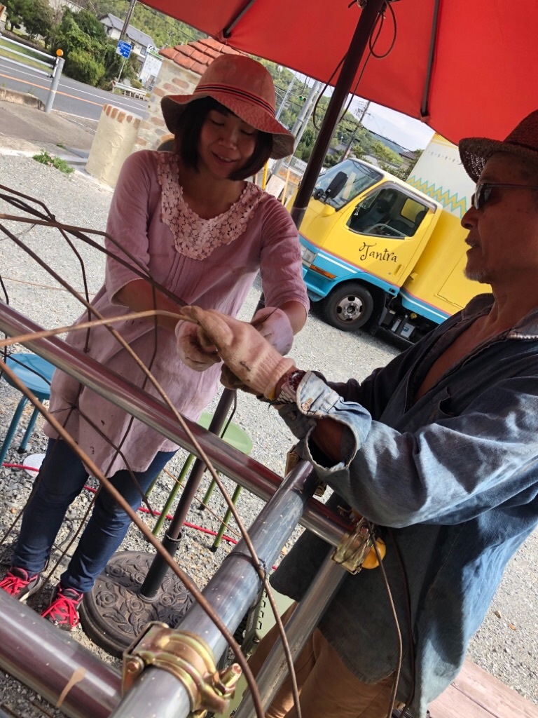 f:id:zappa38:20200904231019j:image f:id:zappa38:20200904231019j:image