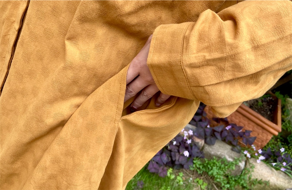 f:id:zappa38:20201016175218j:image