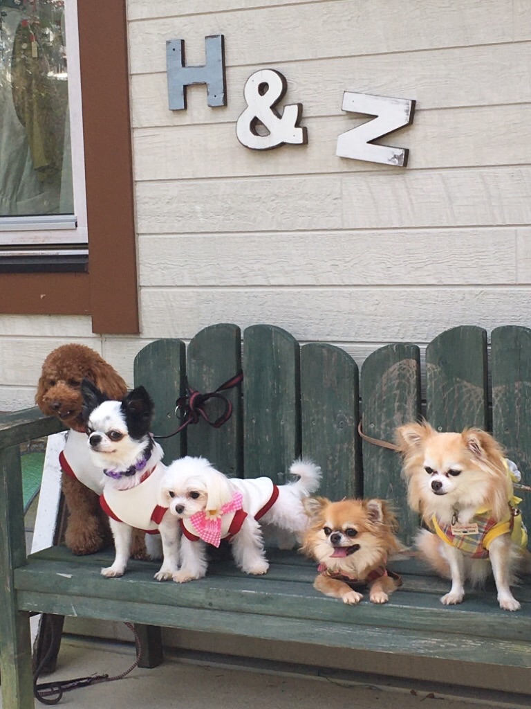 f:id:zappa38:20201021212238j:image f:id:zappa38:20201021212238j:image