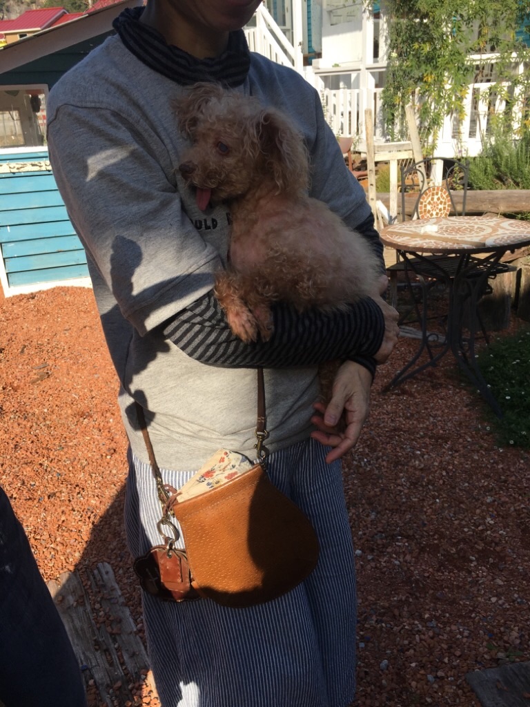 f:id:zappa38:20201021212242j:image f:id:zappa38:20201021212242j:image