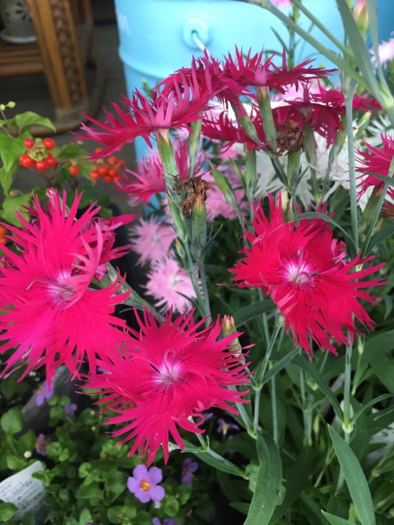 f:id:zappa38:20201021212257j:image f:id:zappa38:20201021212257j:image